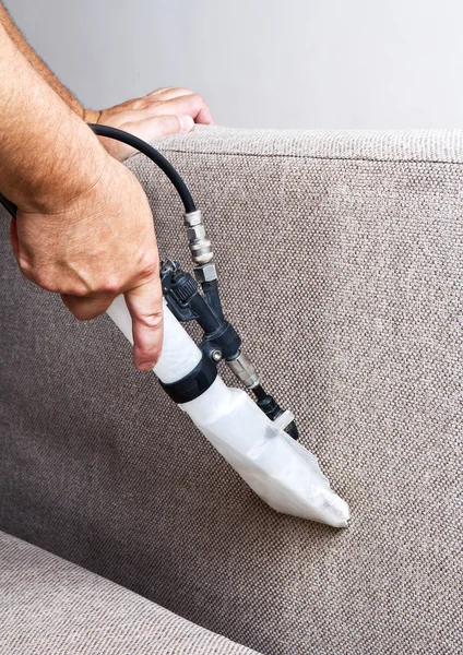 Professional upholstery cleaning in Miami by Zelinski
